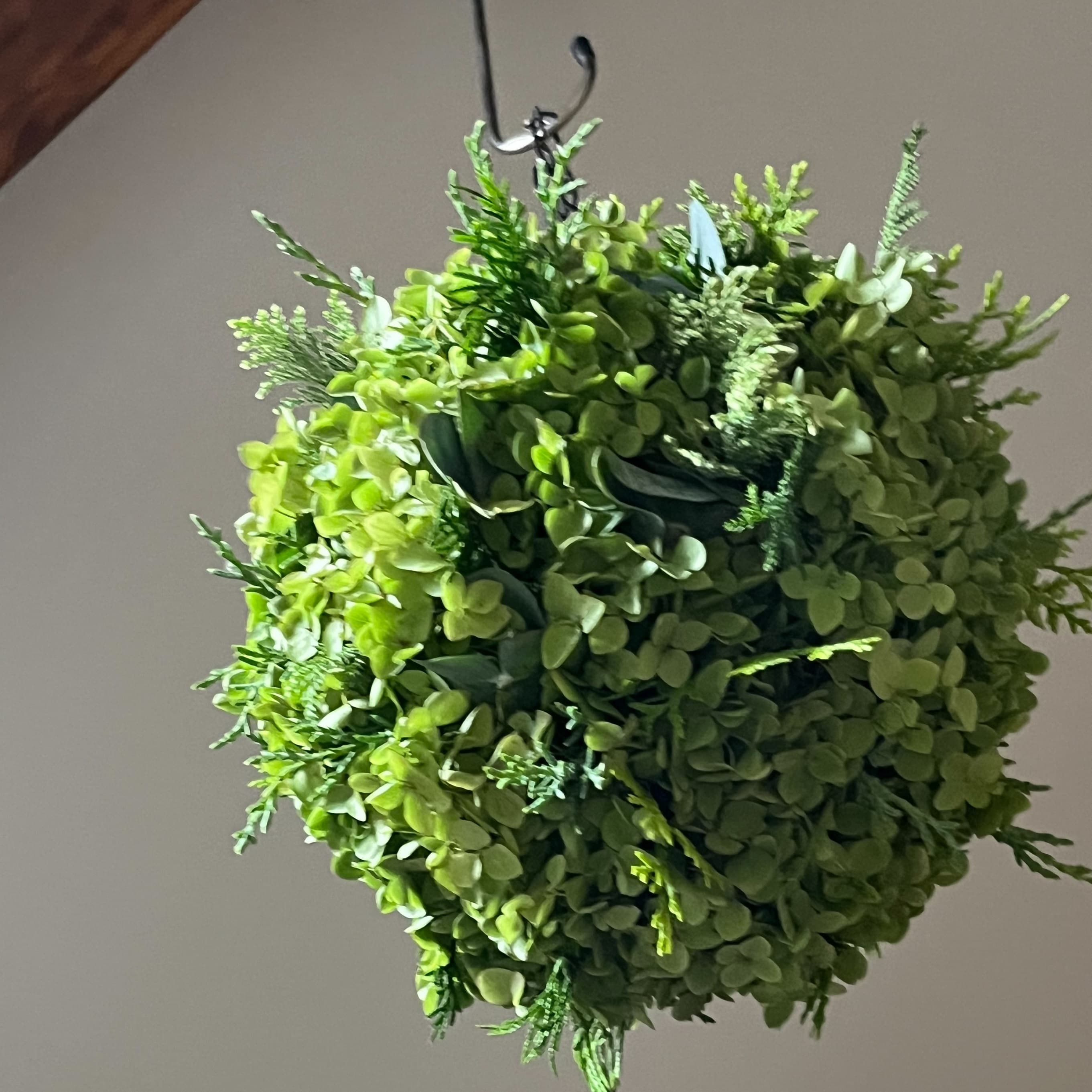 直江津】 『旬の植物を使ったワークショップ』開催のお知らせ