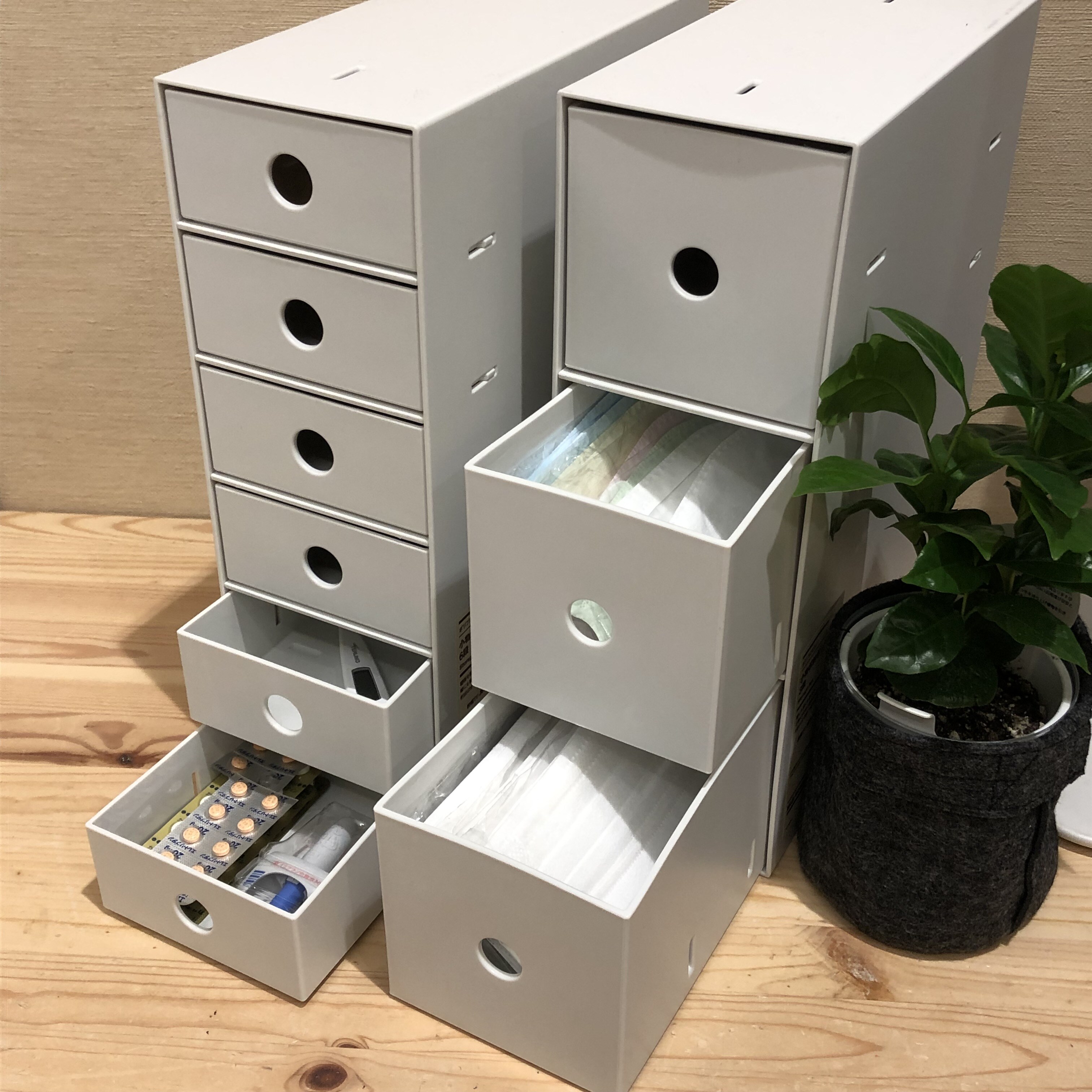 おやまゆうえんハーヴェストウォーク】ポリプロピレン小物収納ボックス