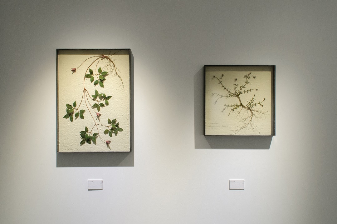 IDÉE TOKYO】モリソン小林展 作品紹介 1～20｜ 無印良品