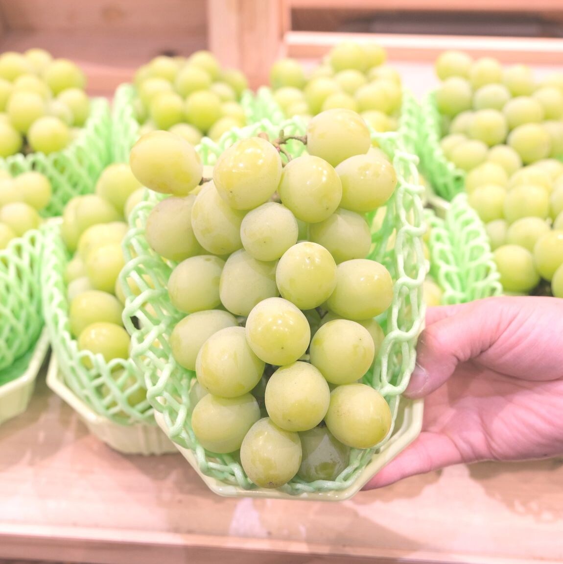 堺北花田】小林さんのシャインマスカット入荷しました｜青果売場から
