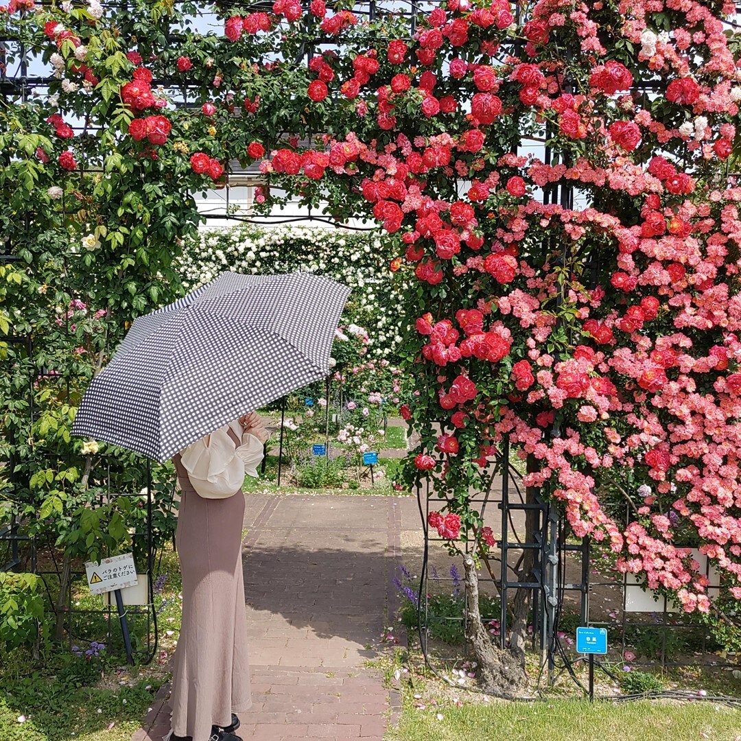 イズミヤショッピングセンター神戸玉津】 梅雨＆紫外線対策に晴雨兼用