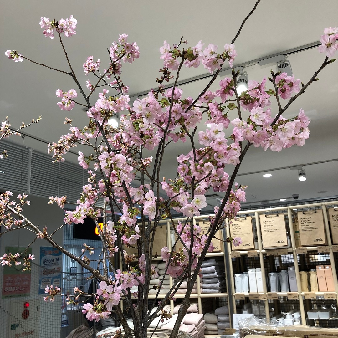 シァルプラット東神奈川】無印良品週間のお知らせ｜ 無印良品