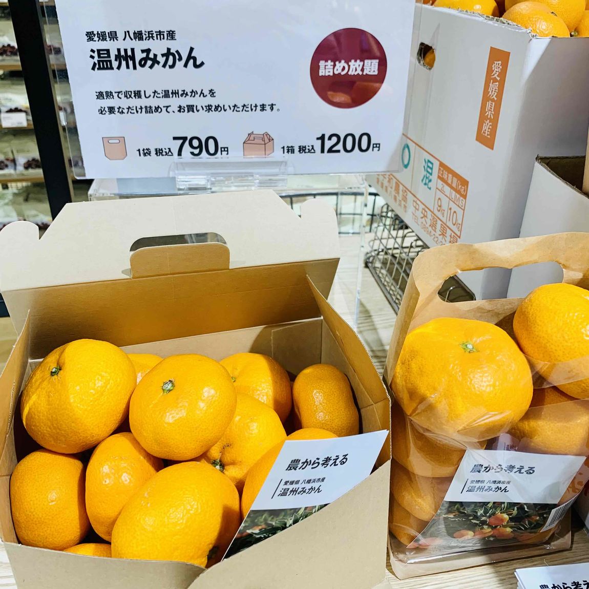 府中ル・シーニュ】温州みかんの販売開始しました！｜ 無印良品