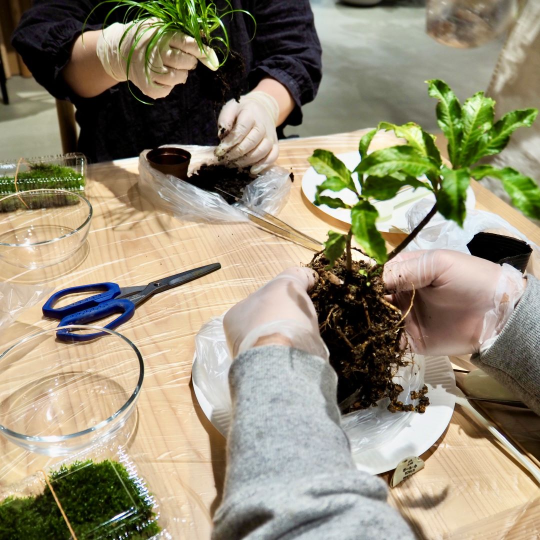 直江津】第2回寄せ植えワークショップ開催しました｜ 無印良品