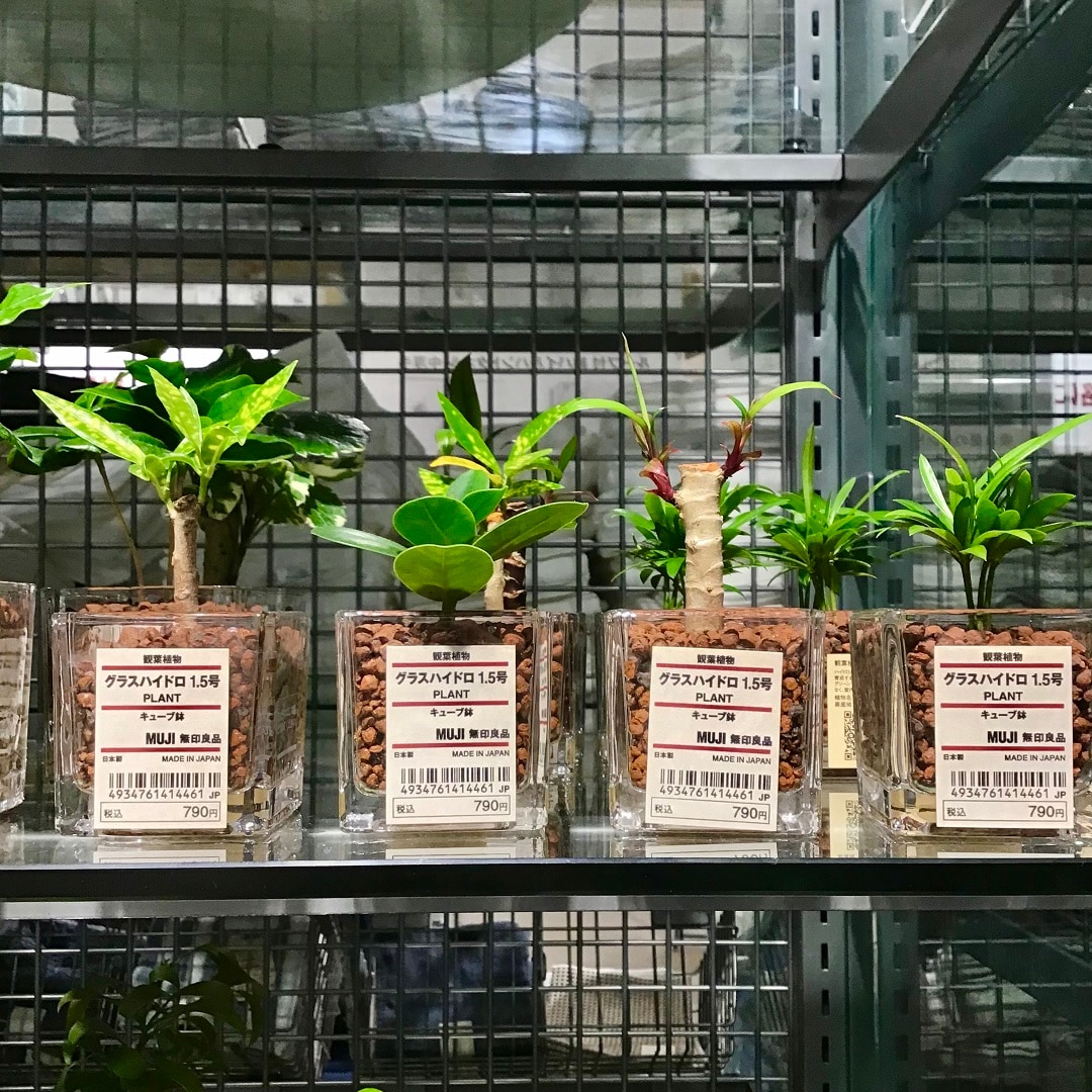 MUJI アルテシマ 13号 無印良品 観葉植物 ディスプレイ 雑貨 植木