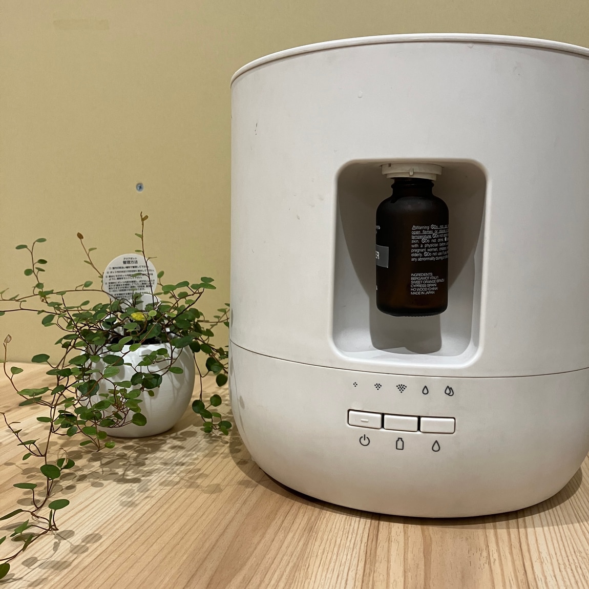 西友荻窪】夏の乾燥対策とリフレッシュに｜ 無印良品