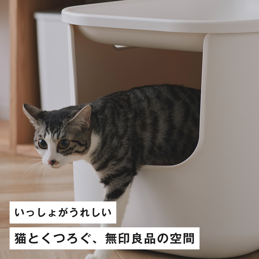 猫とくつろぐ、無印良品の空間