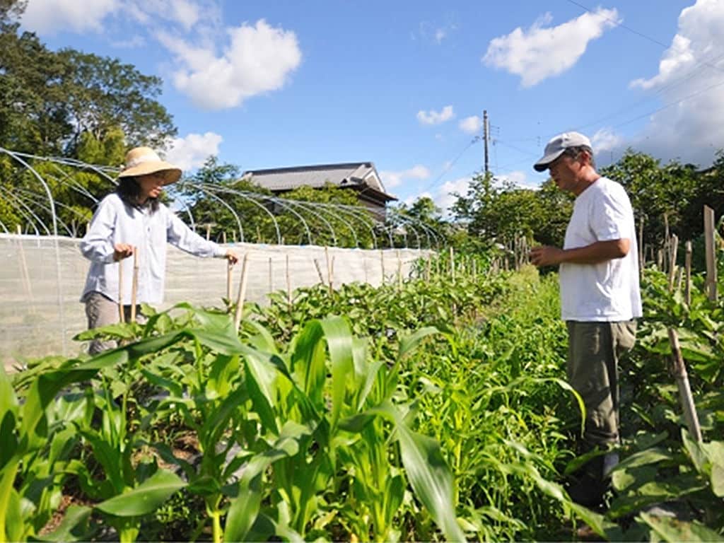 自家採種にこだわり、伝統野菜を守り続ける。【有機JAS認定農家 チヨちゃんの野菜】