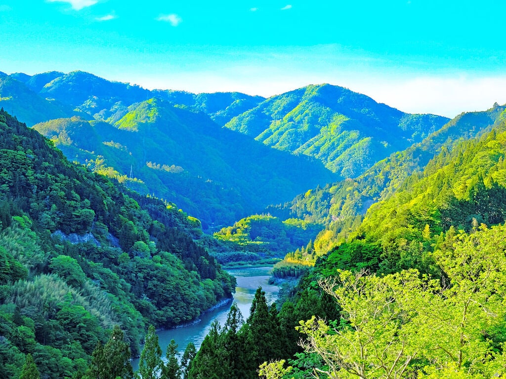 都会にないものが、ここにある。秘峡の柚子とお茶【合同会社ゆずすけ】