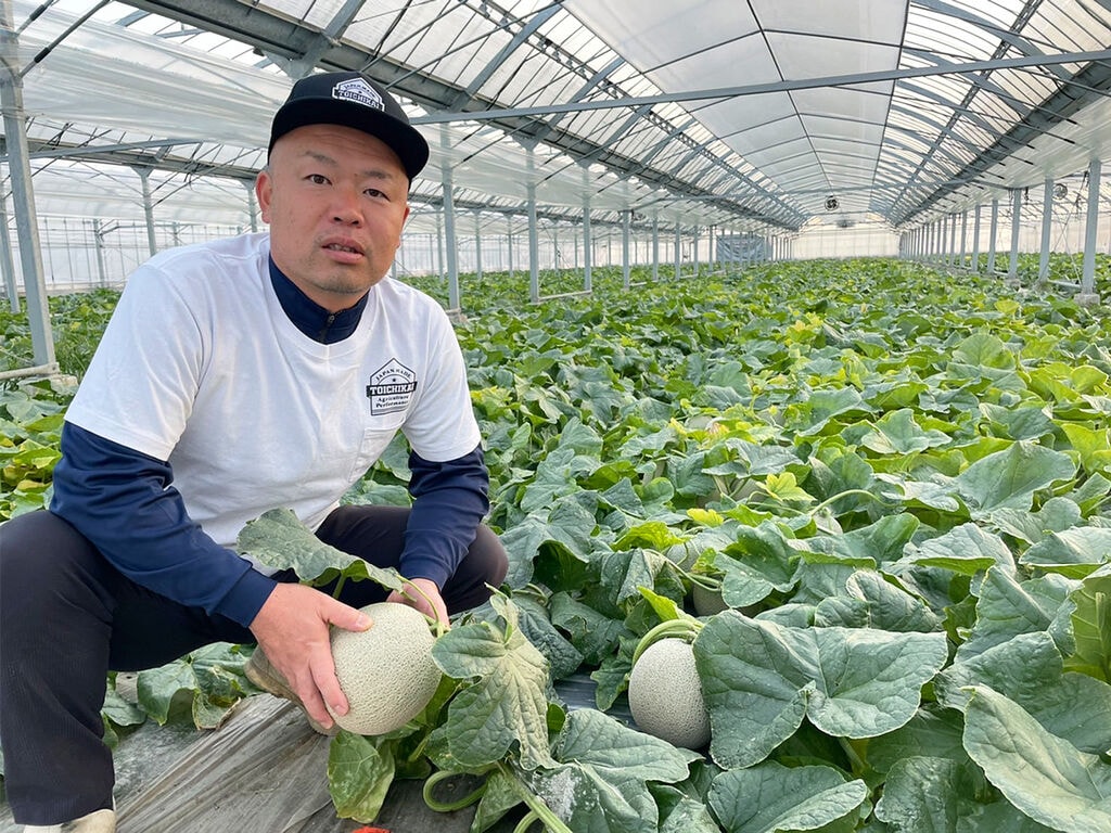 大地と水の恵みが豊富な熊本で、大切に大切に育てた希少メロン「ムーンライト」【津田農園】