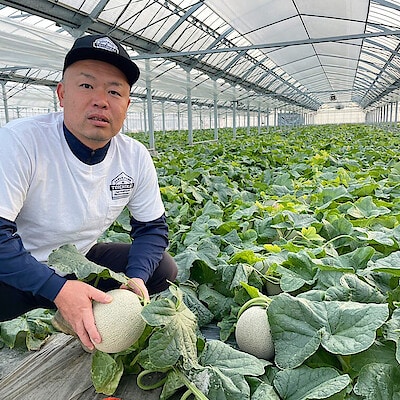 大地と水の恵みが豊富な熊本で、大切に大切に育てた希少メロン「ムーンライト」【津田農園】