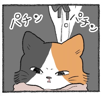 【探偵とねこ】「ほんとうの狙い」 ｜ スナップボタン付きペット用タオル