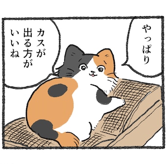 【探偵とねこ】「アナログ派」 ｜ 段ボール爪研ぎベッド