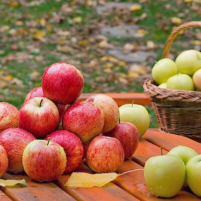 もっと多くの方に、岩手・花巻のりんごのおいしさを知ってもらいたい。【遥かなる林檎】のりんご