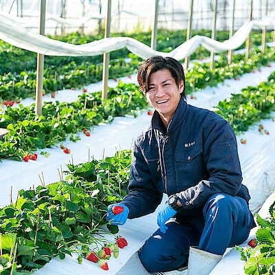 「最高の一粒」に。妥協を許さないこだわりが生む、甘いいちご【多幸寿】