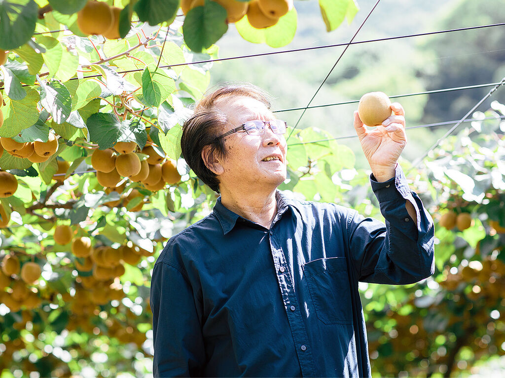 一口の“美味しい”のために。はずれを引かせないキウイづくり。