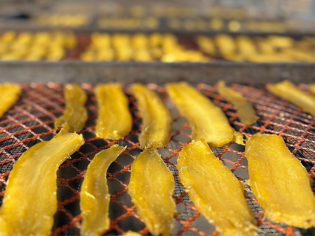 干し芋文化を守り、次につなぐ。【小池清嗣商店】の産地に根差した挑戦