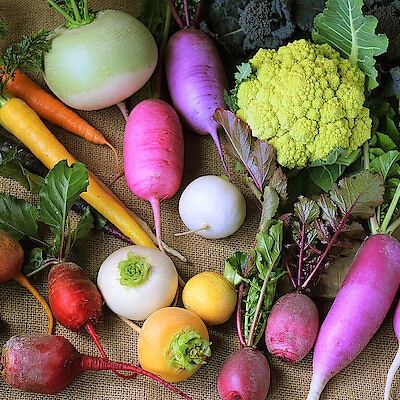 奈良県、葛城山麓で育てる多品目野菜