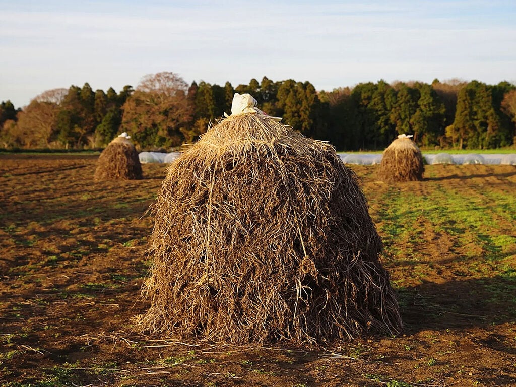 千葉の落花生を未来につなぐ、ピーナッツブランド【株式会社セガワ】