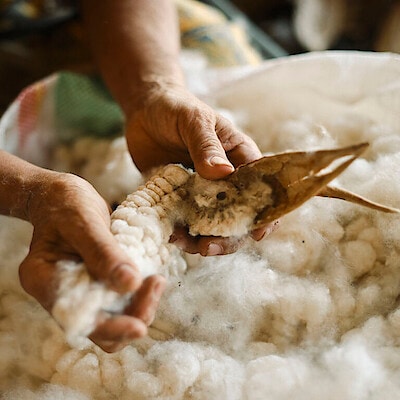 カポック｜ふわりと軽い天然繊維　Kapok: A natural material that feels light and airy