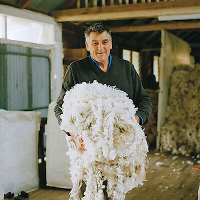 メリノウール｜なめらかで多機能な天然繊維　Merino wool｜A smooth and multifunctional natural fiber