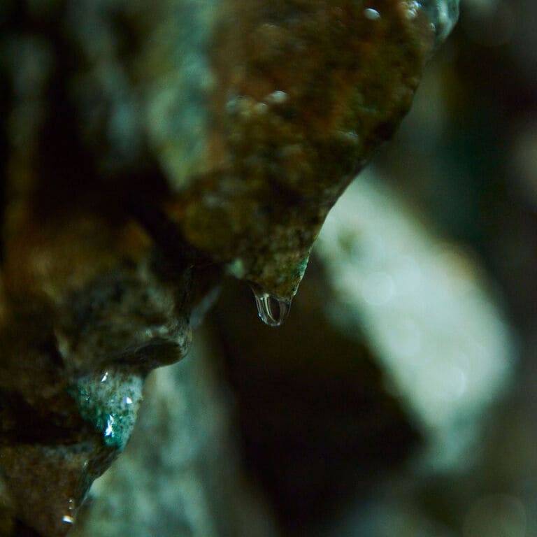 無印良品　スキンケア　天然水　釜石　素材　自然