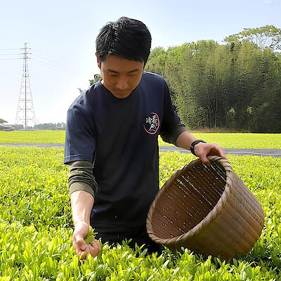 江戸からつづく「さしま茶」の伝統と技術を後世に。