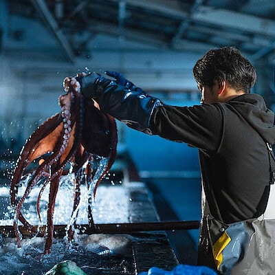 タコの概念が変わる。【マルカ高橋水産】の“活”水タコ