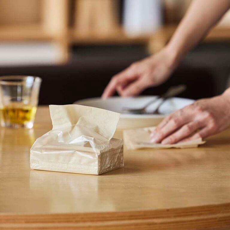 小ぶりで、十分なときに。卓上用 ティシューペーパー