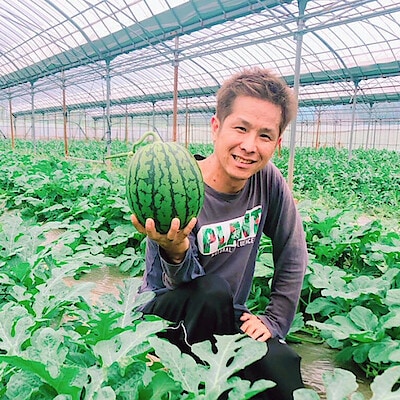 日本一の産地、熊本県植木町の小玉スイカ専業農家　【永井ふぁーむ】