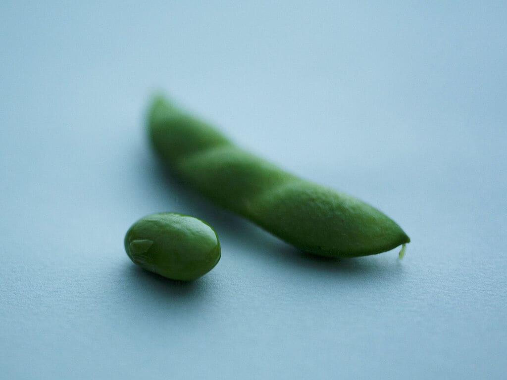 柳農産