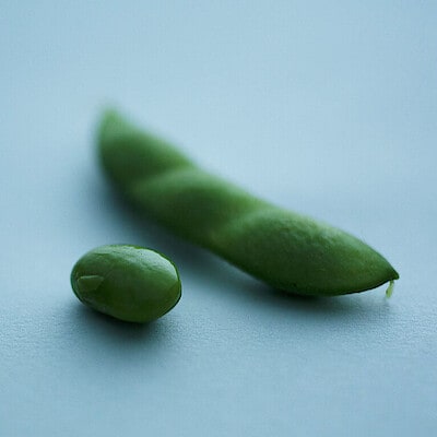 豪雪地が育む、日本一の茶豆。新潟・妻有「つまりちゃまめ」【柳農産】