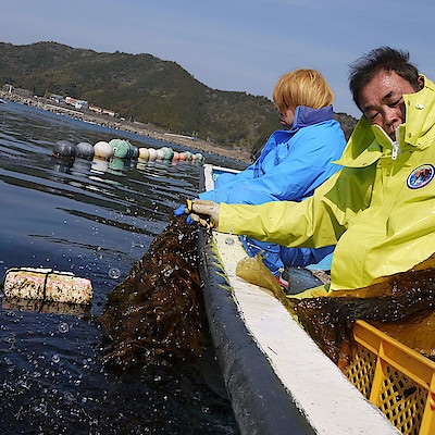 三重県産１００％の海藻を、こだわり製法で届ける。