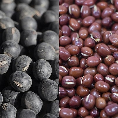 丹波の特産品「丹波黒豆」や「丹波大納言小豆」を安心・安全の有機栽培で