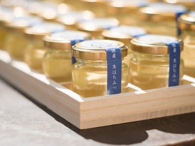 山梨県産 ハニープラントの生はちみつ「日本ミツバチ百花蜜