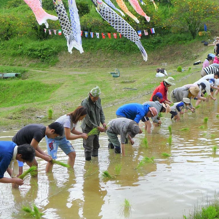 未来の世代へ自然を手渡す、鴨川里山トラスト