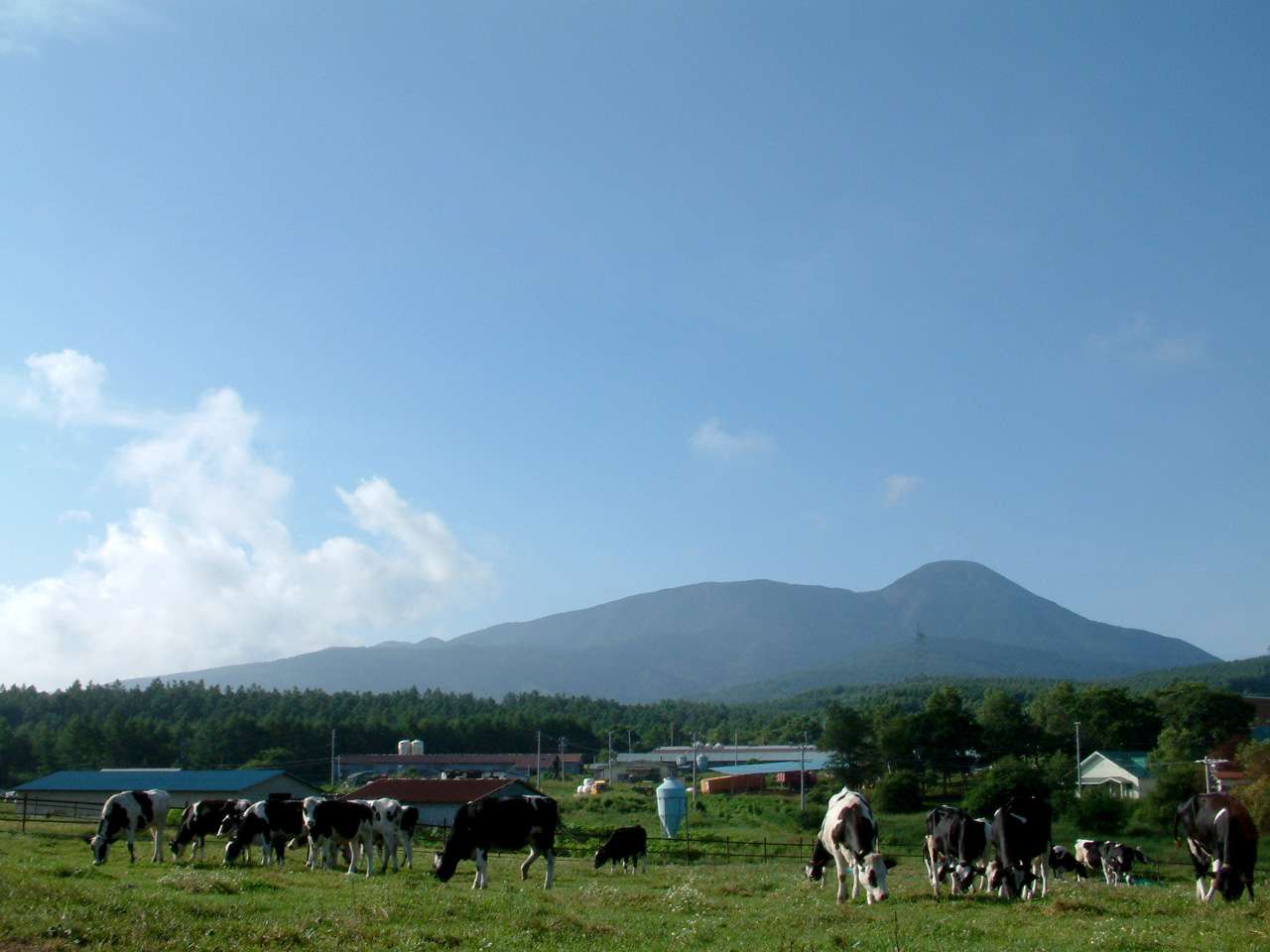 キービジュアル画像：蓼科山の湧水で育った牛の新鮮な生乳でつくる乳製品
