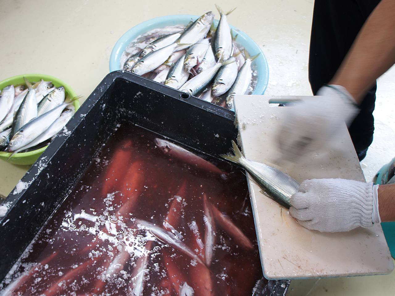 キービジュアル画像：熊本県上天草の「海のおかずセット」