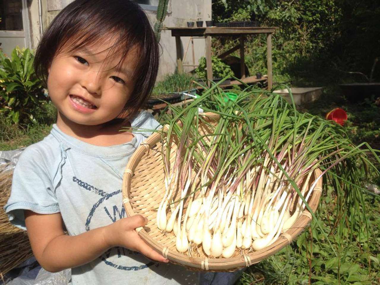 キービジュアル画像：赤ちゃんからおじいおばあまで安心して食べられる、宮古島の島やさい