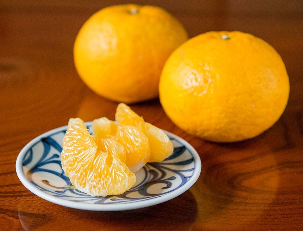 株式会社地域法人無茶々園