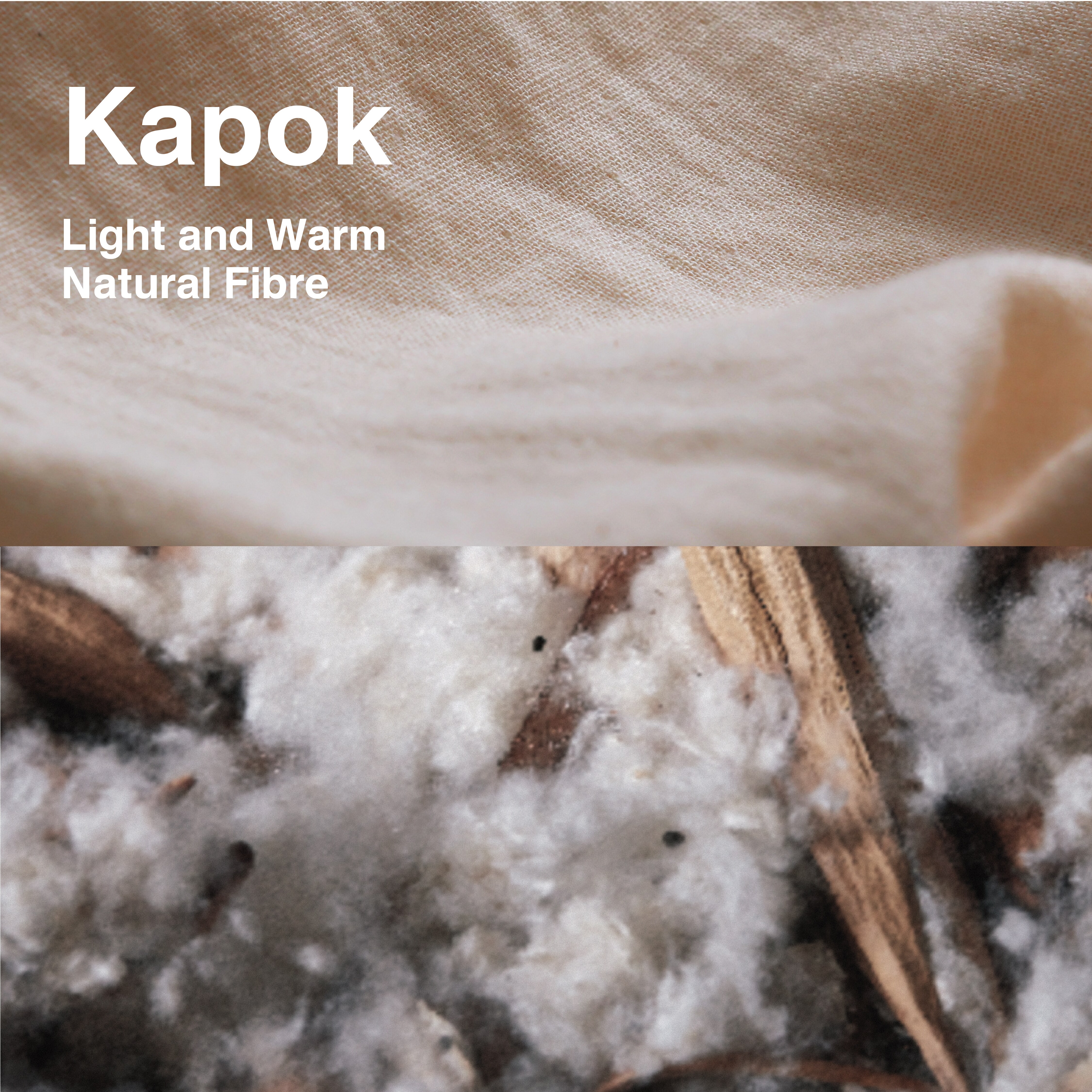 kapok_01
