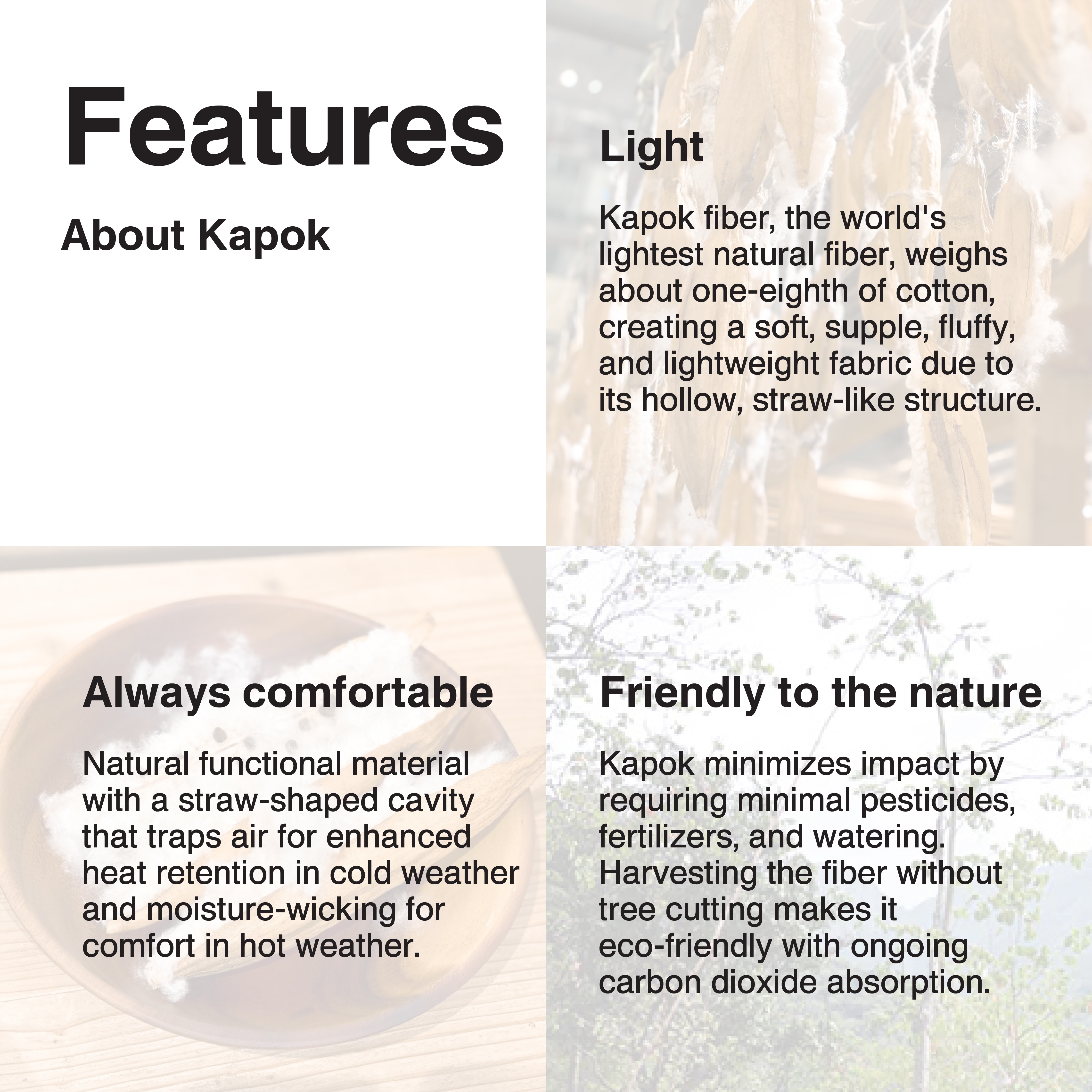kapok_02