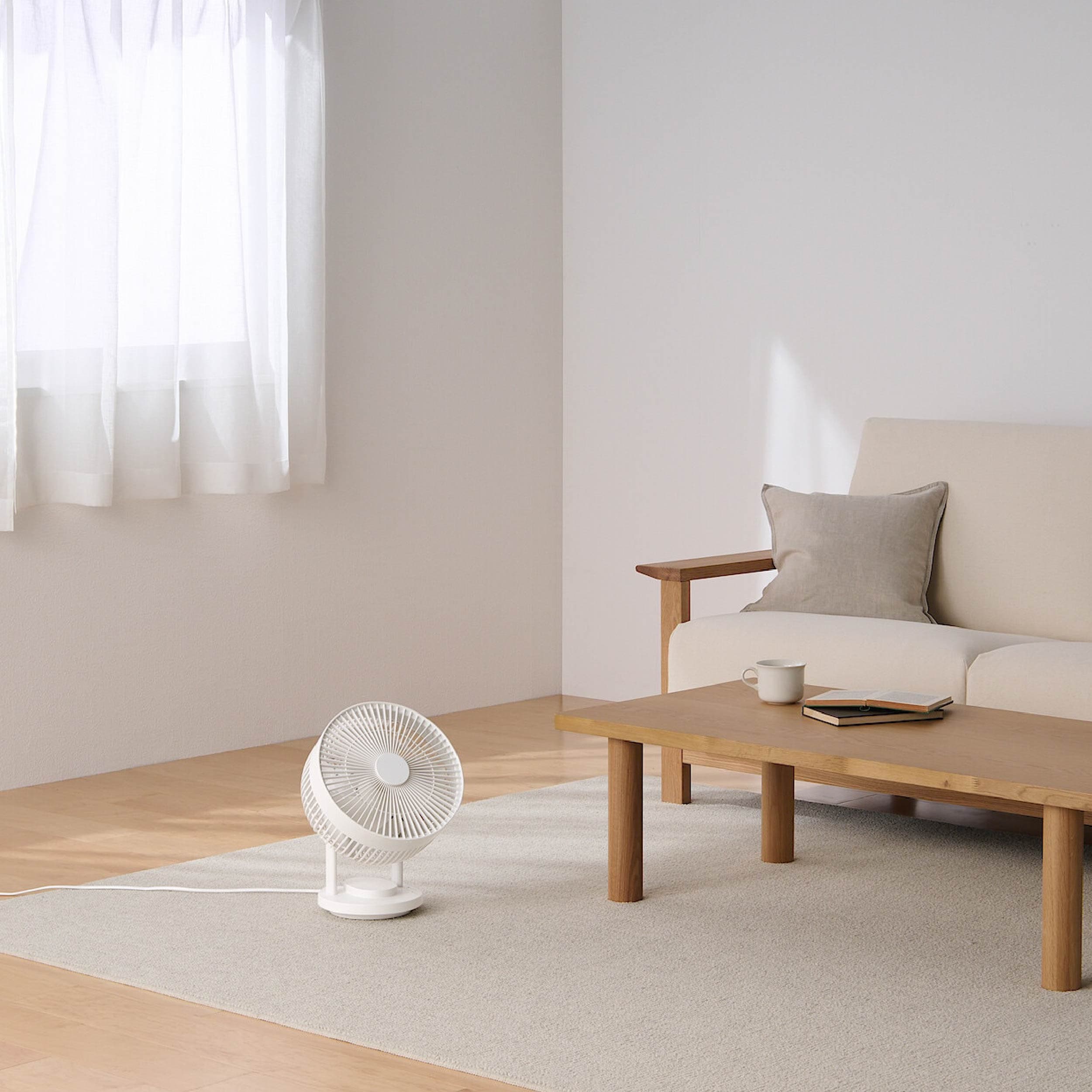 Oscillating Circulator Fan_01