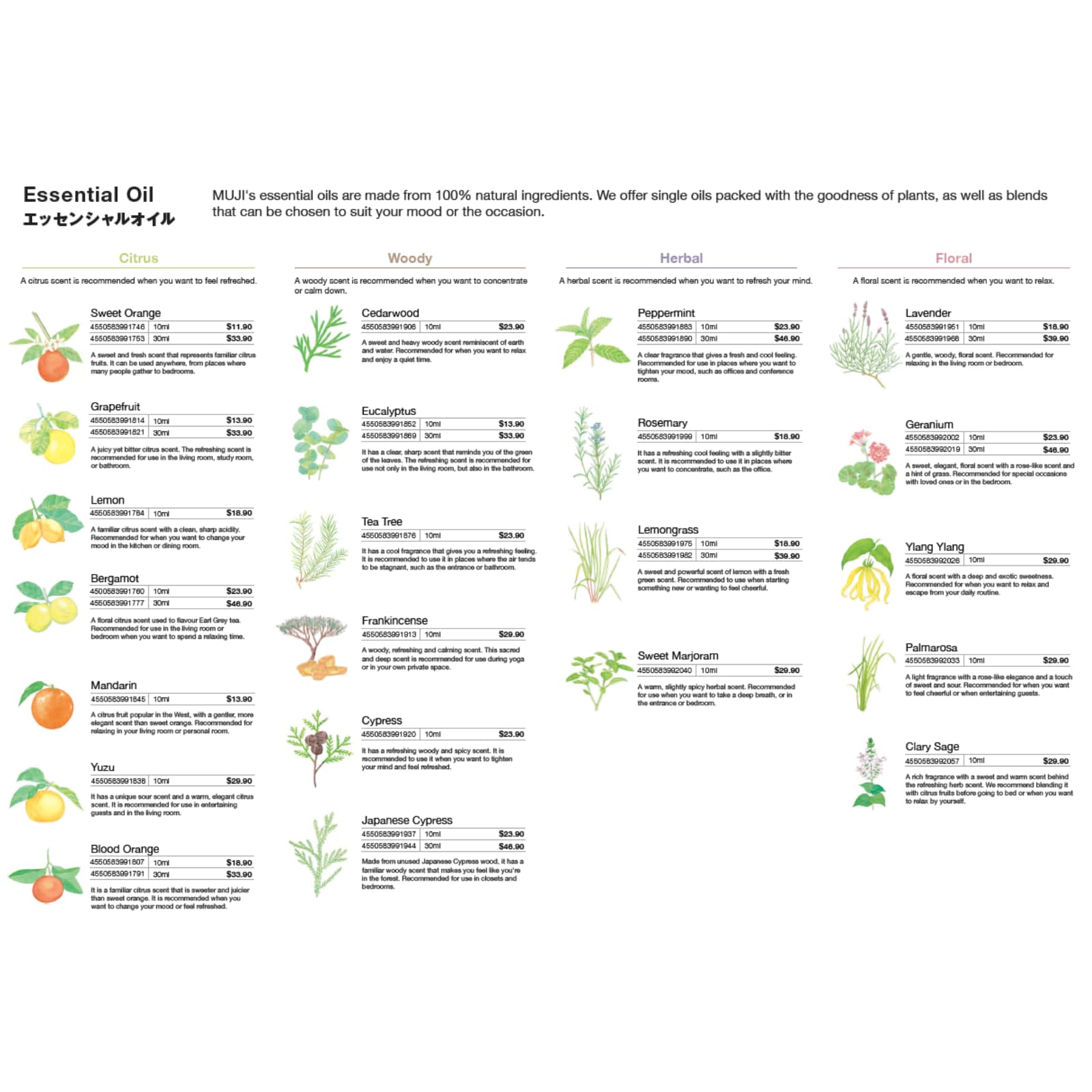 essential oil_03