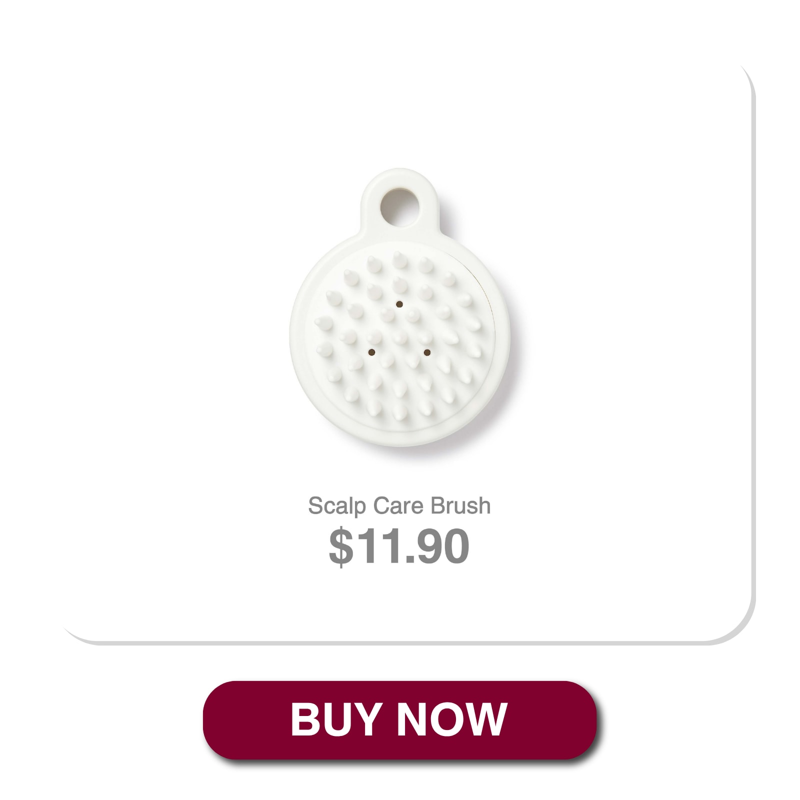 scalp brush_02