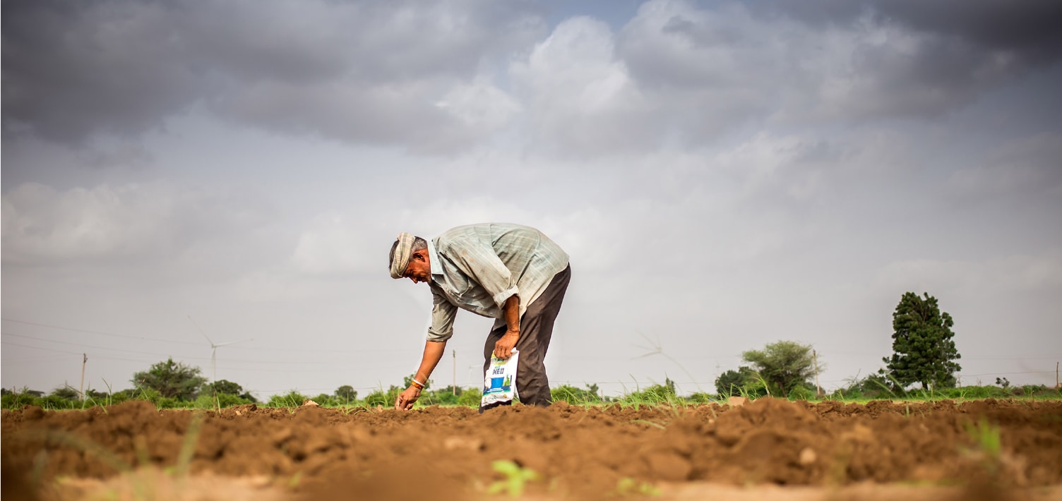 Growing Cotton, Cotton Farming