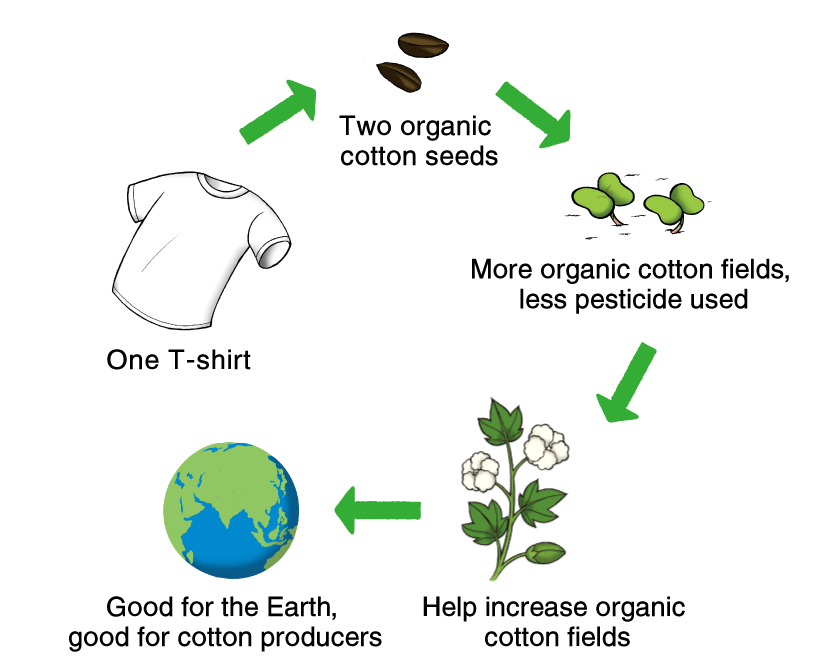 Growing Cotton, Cotton Farming