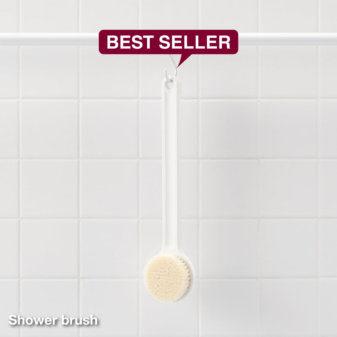 shower brush