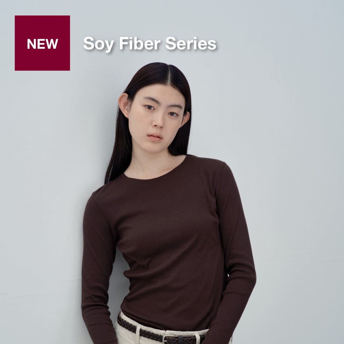 soy fiber series