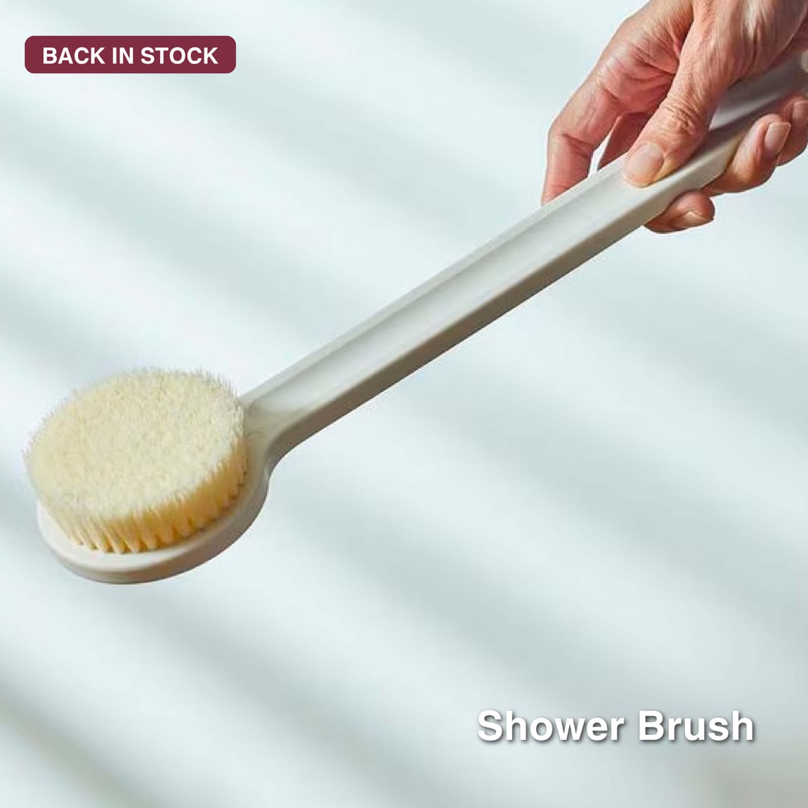 shower brush